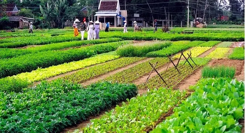 herb village