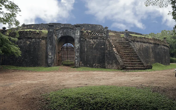 tiger arena hue