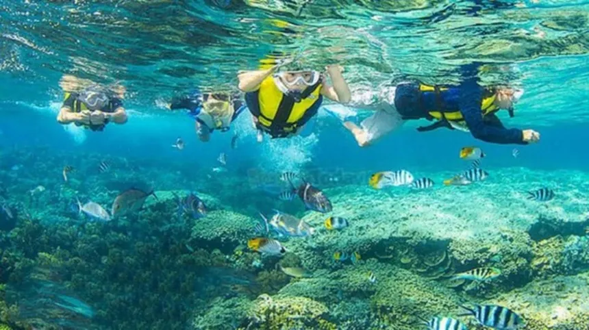 scuba diving da nang