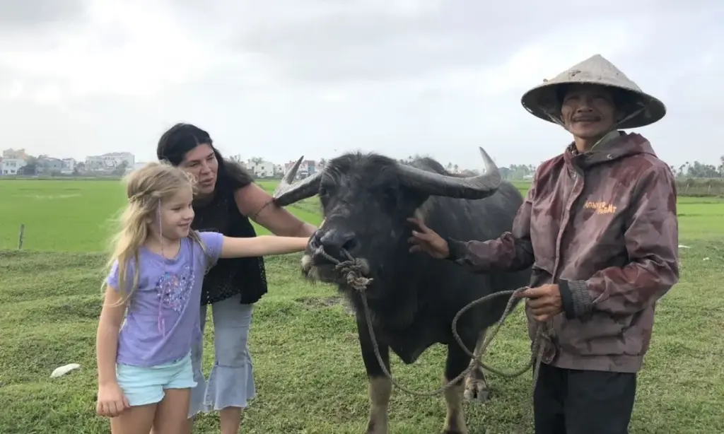 5cc9c47b1602e55cbc13 161371040 8204 1740 1613710545