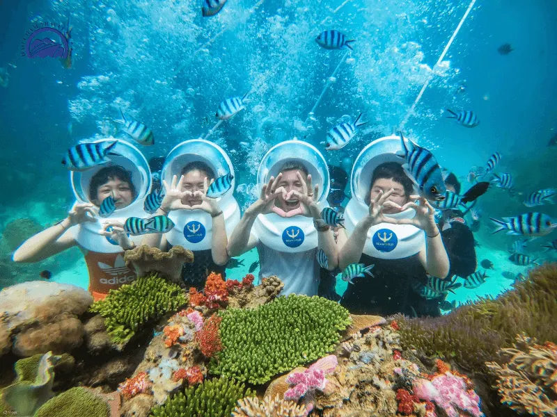 scuba diving da nang