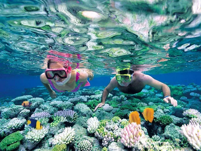 scuba diving da nang