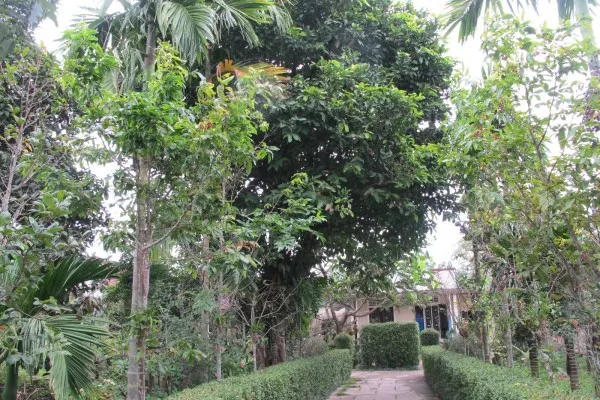an hien garden house