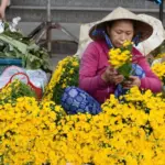 Hoi An Market Opening Times, Trading Hours & Best Times to Visit with Ovuigo: Complete Guide 17 flowers at market