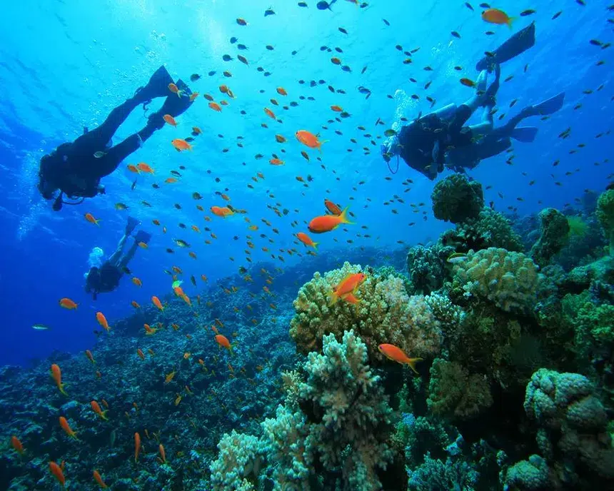 scuba diving da nang