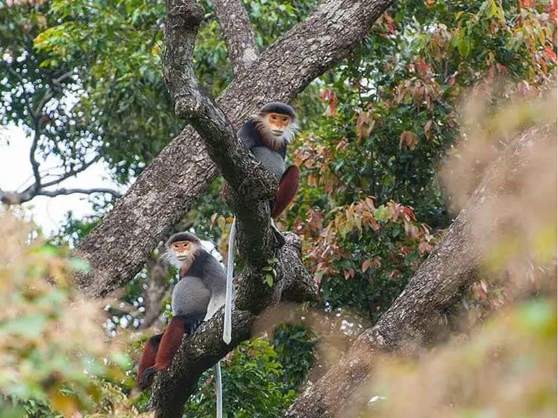da nang national park