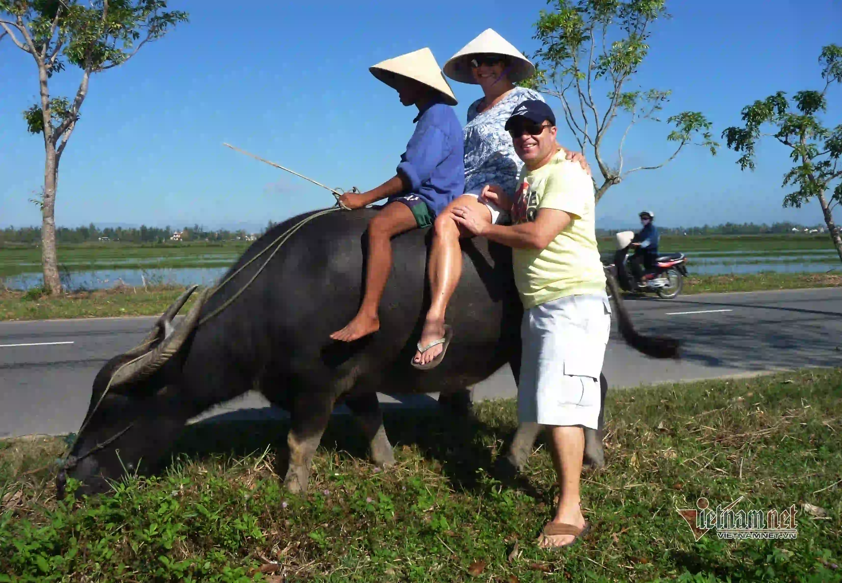Ride a Buffalo Hoi An