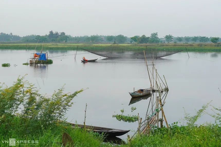 rice fields near me