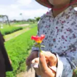 Tra Que Vegetable Village Cycling Tour By Ovuigo: The Ultimate Hoi An Herb Farm Experience 18 a farmer at tra que village