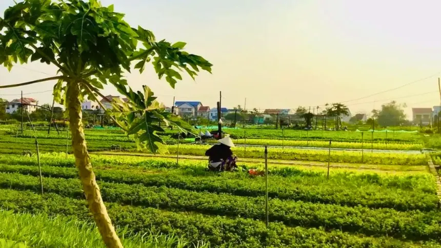 tra que vegetable village by bicycle