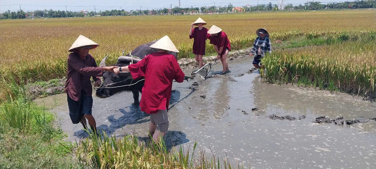 Homepage 6 Hoi An Countryside Tour