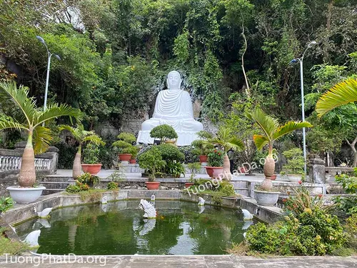 buddha night