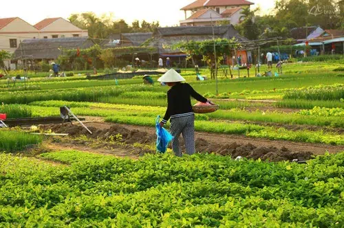 Bamboo Show Hoi An: The Ultimate Guide to Lune Production’s Iconic Bamboo Circus Experience 5 bamboo show hoi an