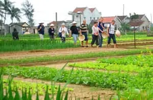 Hoi An Ancient Town UNESCO Heritage Guide: Best Things To Do, Experiences, and Local Secrets 4 hoi an trip