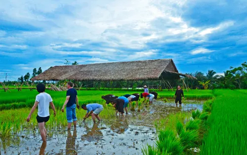 Hoi An Population: Demographics, Growth & Community Insight (2025) 3 hoi an population