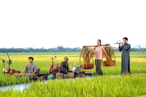 Hoi An Rice Fields: Explore, Experience, and Immerse Yourself in Vietnam’s Rural Heart 1 hoi an rice field