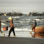 Ultimate Guide to Nightlife in Hoi An Ancient Town: Markets, Lanterns & Unique Night Experiences 18 optimize bai huong cu lao cham 11