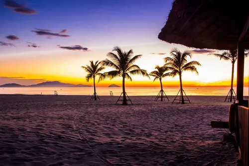 The Ultimate Guide to Hoi An's Best Beaches, Activities, and Coastal Experiences in 2025 4 hoi an strand