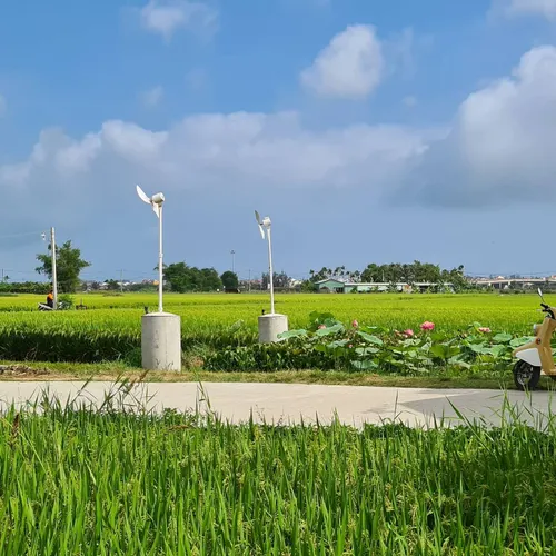 Ultimate Guide to Hoi An Ancient Town: Top Attractions, Practical Tips, and Local Experiences 5 roving chillhouse lac loi giua canh dong lua tho mong cua hoi an cung 9x do phuong 03 1620021510