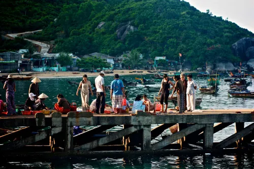 Cham Islands (Cu Lao Cham) from Hoi An: The Ultimate Eco-Friendly Tour Guide 2 cam island hoi an
