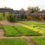 How Many Days to Visit Hoi An? The Complete Itinerary & Planning Guide 14 Lang rau Tra Que Hoi An Tu lang rau dung di den diem tham quan Quoc te 1 1617855750