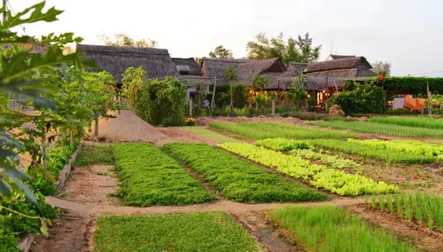 How Many Days to Visit Hoi An? The Complete Itinerary & Planning Guide 4 how many days to visit hoi an