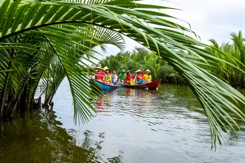 Hoi An Nipa Palm Forest: Ultimate Basket Boat Experience & Eco-Tour Guide 2 nipa palm forest hoi an