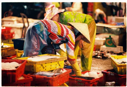 Hoi An Fish Market Guide: Location, Culture, Tradition, and Visiting Tips 3 fish market hoi an