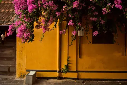Best Photo Spots & Meaning of Hoi An Yellow Wall: Iconic Guide for Your Visit 2 hoi an yellow wall