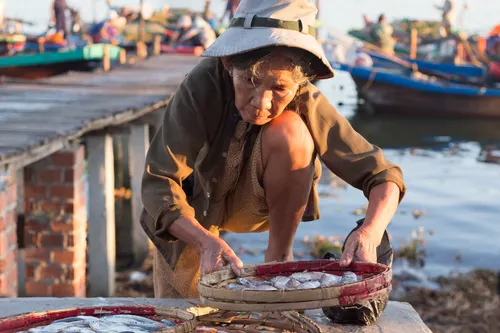 hoi an fishing village