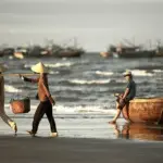 Cham Island Snorkeling Tours from Hoi An: The Essential Guide (Updated) 16 optimize bai huong cu lao cham 11